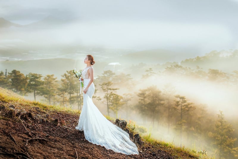 Enchanted Forest Clearing